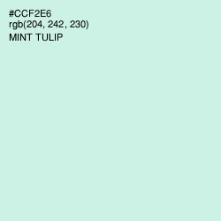 #CCF2E6 - Mint Tulip Color Image